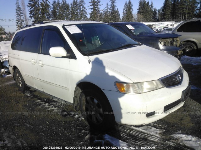 5FNRL18013B033989 - 2003 HONDA ODYSSEY EXL WHITE photo 1