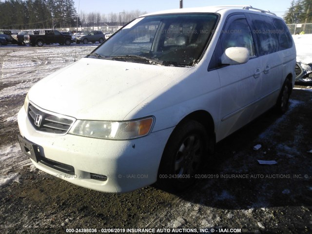 5FNRL18013B033989 - 2003 HONDA ODYSSEY EXL WHITE photo 2