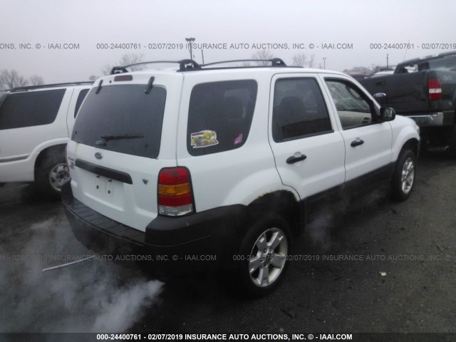 1FMYU93155KB34171 - 2005 FORD ESCAPE XLT WHITE photo 4