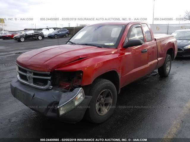 1D7HE32K58S528403 - 2008 DODGE DAKOTA SXT RED photo 2