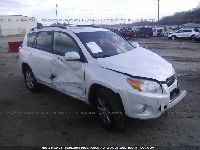 2T3YK4DV4BW009633 - 2011 TOYOTA RAV4 LIMITED WHITE photo 1