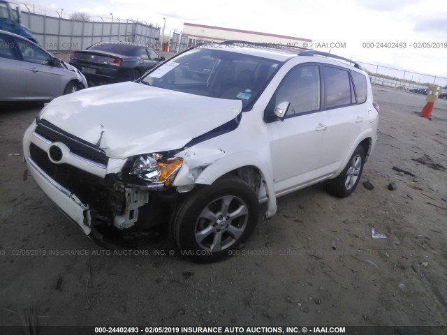 2T3YK4DV4BW009633 - 2011 TOYOTA RAV4 LIMITED WHITE photo 2