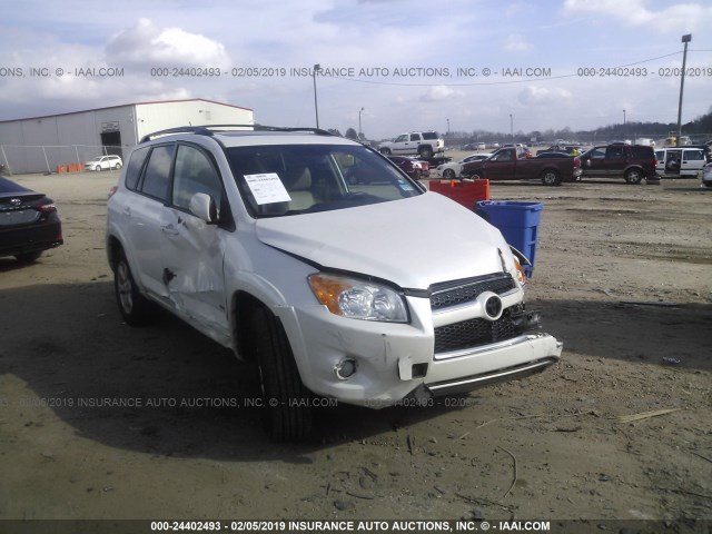 2T3YK4DV4BW009633 - 2011 TOYOTA RAV4 LIMITED WHITE photo 6