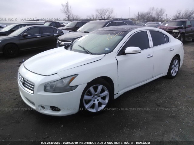 1N4AA5AP4DC827620 - 2013 NISSAN MAXIMA S/SV WHITE photo 2