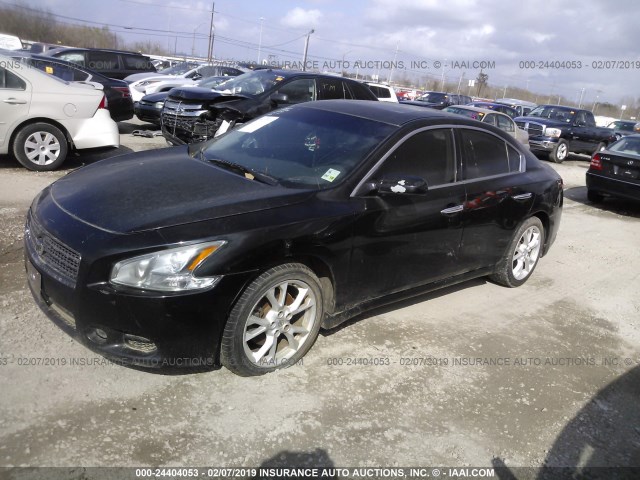 1N4AA51E39C819384 - 2009 NISSAN MAXIMA S/SV BLACK photo 2