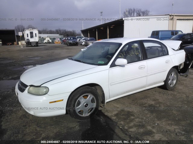 1G1NE52J516165236 - 2001 CHEVROLET MALIBU LS WHITE photo 2
