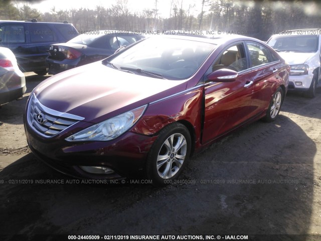 5NPEC4AC7BH084966 - 2011 HYUNDAI SONATA SE/LIMITED RED photo 2