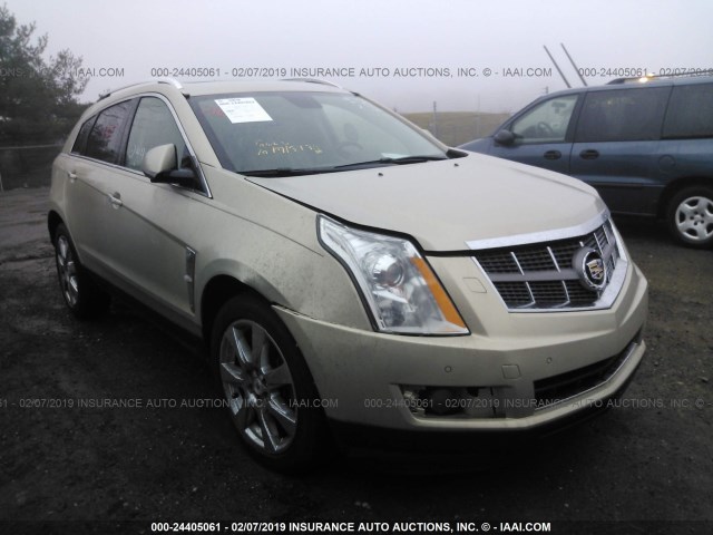 3GYFNEEY8BS557493 - 2011 CADILLAC SRX PERFORMANCE COLLECTION BEIGE photo 1