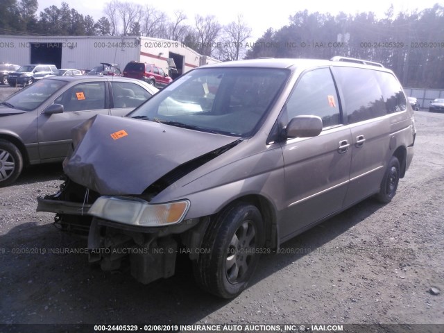 5FNRL18953B068078 - 2003 HONDA ODYSSEY EXL GOLD photo 2