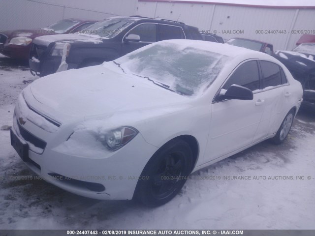 1G1ZA5EU9CF395643 - 2012 CHEVROLET MALIBU LS WHITE photo 2