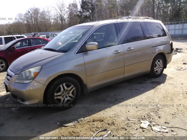 5FNRL38796B429861 - 2006 HONDA ODYSSEY EXL GOLD photo 2