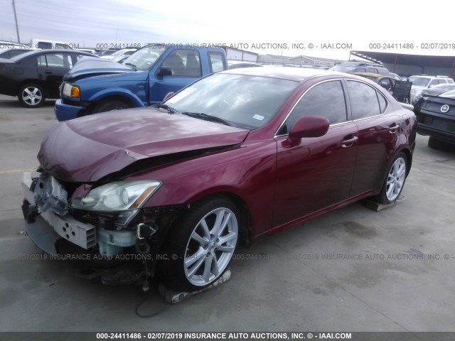 JTHBK262X75030514 - 2007 LEXUS IS 250 RED photo 2