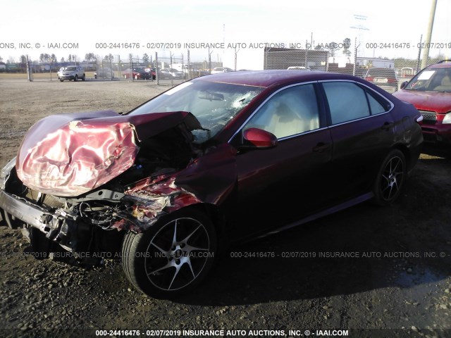 4T1BF1FK4HU667479 - 2017 TOYOTA CAMRY LE/XLE/SE/XSE 勃艮第红 照片 2