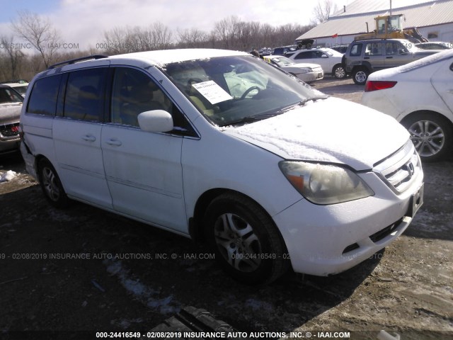 5FNRL38405B091254 - 2005 HONDA ODYSSEY EX Ağ foto 1