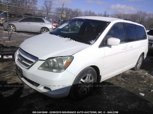 5FNRL38405B091254 - 2005 HONDA ODYSSEY EX Ağ foto 2