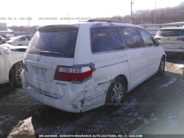 5FNRL38405B091254 - 2005 HONDA ODYSSEY EX Ağ foto 4
