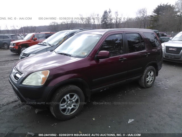 SHSRD78843U111759 - 2003 HONDA CR-V EX PURPLE photo 2