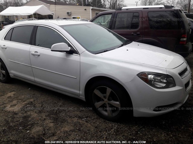 1G1ZC5E1XBF140823 - 2011 CHEVROLET MALIBU 1LT 白色 照片 1
