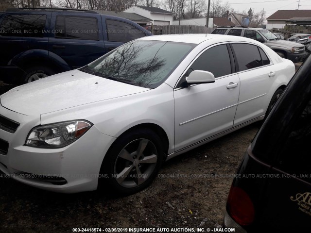 1G1ZC5E1XBF140823 - 2011 CHEVROLET MALIBU 1LT 白色 照片 2
