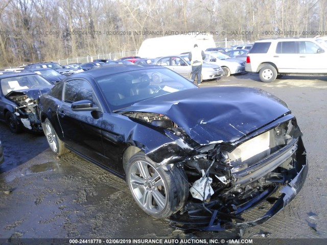 1ZVBP8AM9D5231408 - 2013 FORD MUSTANG BLACK photo 1