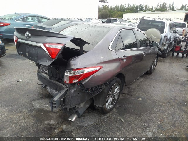4T1BF1FK5GU561993 - 2016 TOYOTA CAMRY LE/XLE/SE/XSE GRAY photo 4