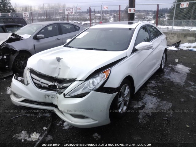 5NPEC4AC1BH162920 - 2011 HYUNDAI SONATA SE/LIMITED WHITE photo 2