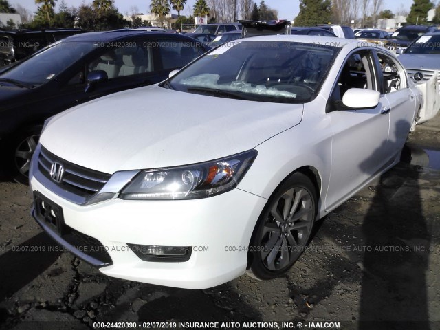 1HGCR2F58FA259857 - 2015 HONDA ACCORD SPORT თეთრი ფოტო 2