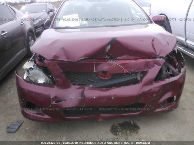 1NXBU40E39Z127360 - 2009 TOYOTA COROLLA S/LE/XLE RED photo 6