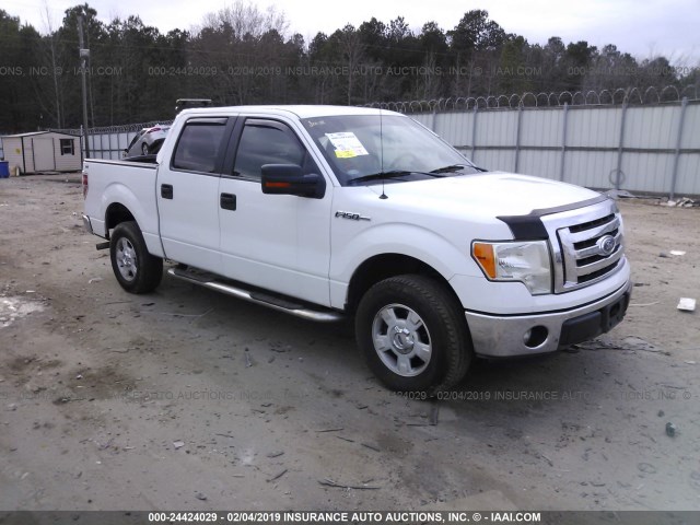 1FTFW1EFXBKD86770 - 2011 FORD F150 SUPERCREW WHITE photo 1