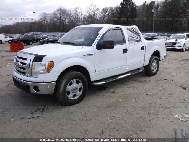 1FTFW1EFXBKD86770 - 2011 FORD F150 SUPERCREW WHITE photo 2