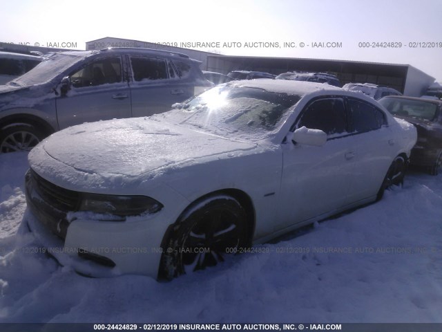 2C3CDXCT8GH354875 - 2016 DODGE CHARGER R/T WHITE photo 2