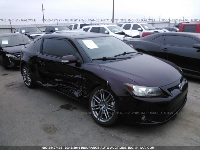 JTKJF5C70B3019957 - 2011 TOYOTA SCION TC PURPLE photo 1