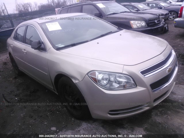 1G1ZB5E08CF199011 - 2012 CHEVROLET MALIBU LS TAN photo 1