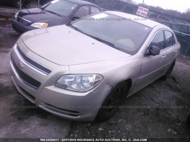 1G1ZB5E08CF199011 - 2012 CHEVROLET MALIBU LS TAN photo 2