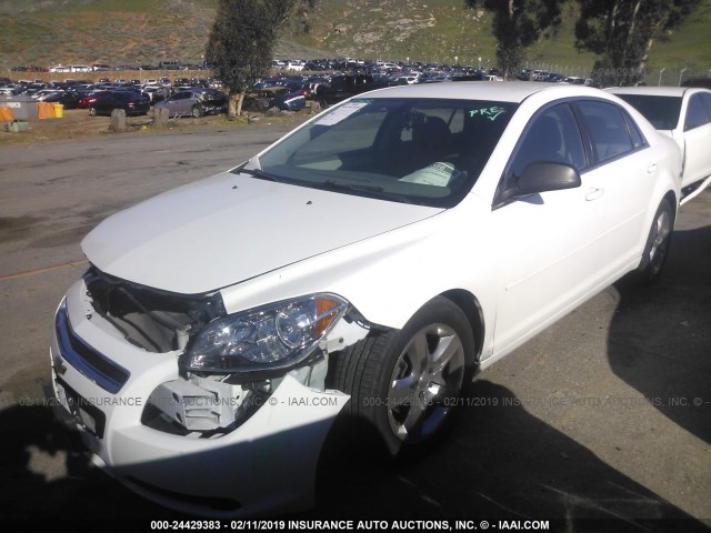 1G1ZA5E00CF379702 - 2012 CHEVROLET MALIBU LS WHITE photo 2