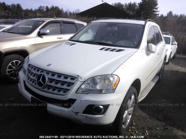 4JGBB8GB9BA677548 - 2011 MERCEDES-BENZ ML 350 4MATIC WHITE photo 2
