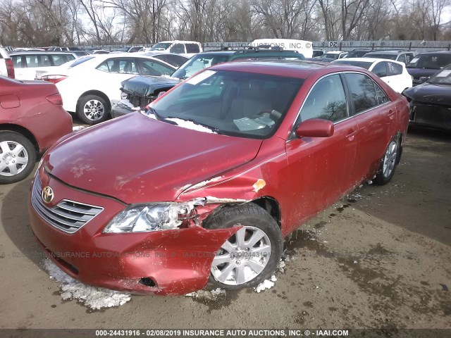 JTNBB46K173022760 - 2007 TOYOTA CAMRY NEW GENERAT HYBRID RED photo 2