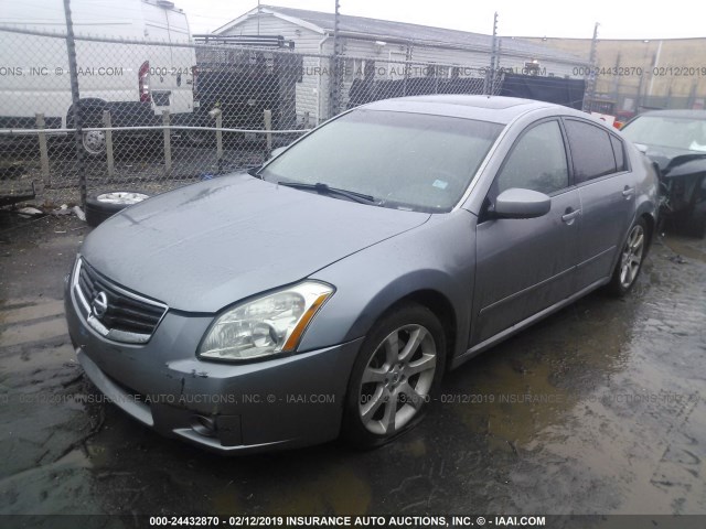 1N4BA41E58C834403 - 2008 NISSAN MAXIMA SE/SL GRAY photo 2