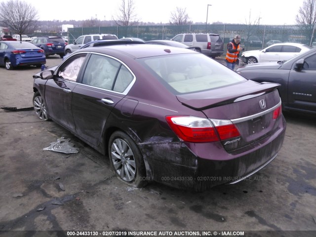 1HGCR2F8XEA227095 - 2014 HONDA ACCORD PURPLE photo 2