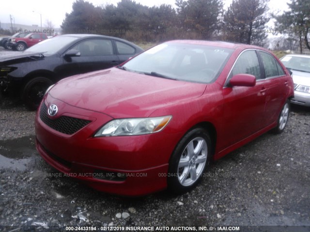 4T1BE46KX7U177356 - 2007 TOYOTA CAMRY NEW GENERAT CE/LE/XLE/SE RED photo 2