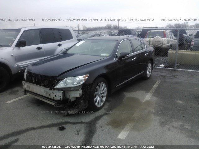 JTHCL5EF4C5013306 - 2012 LEXUS LS BLACK photo 2