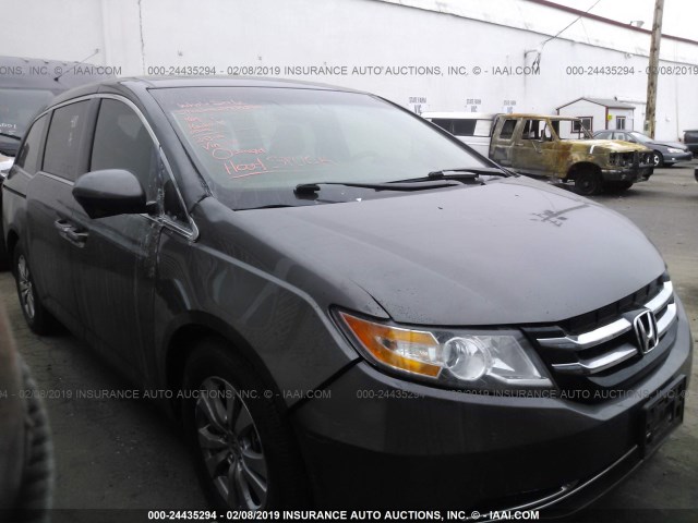 5FNRL5H64EB025576 - 2014 HONDA ODYSSEY EXL GRAY photo 1