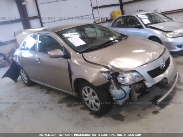 1NXBU4EE9AZ337801 - 2010 TOYOTA COROLLA S/LE/XLE GOLD photo 1