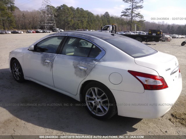 1N4AA5AP9BC861999 - 2011 NISSAN MAXIMA S/SV WHITE photo 3