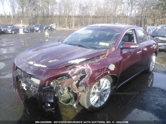 1N4AA5AP4CC846828 - 2012 NISSAN MAXIMA S/SV RED photo 2