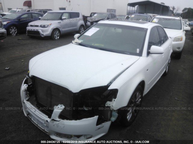 WAUAF78EX8A134366 - 2008 AUDI A4 2.0T WHITE photo 2