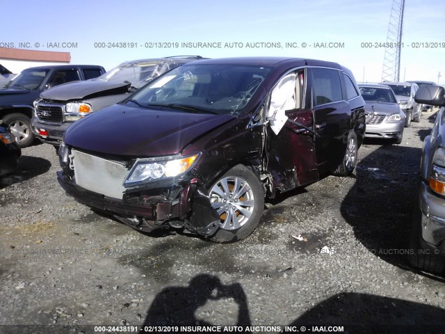 5FNRL5H38GB042440 - 2016 HONDA ODYSSEY SE BURGUNDY photo 2