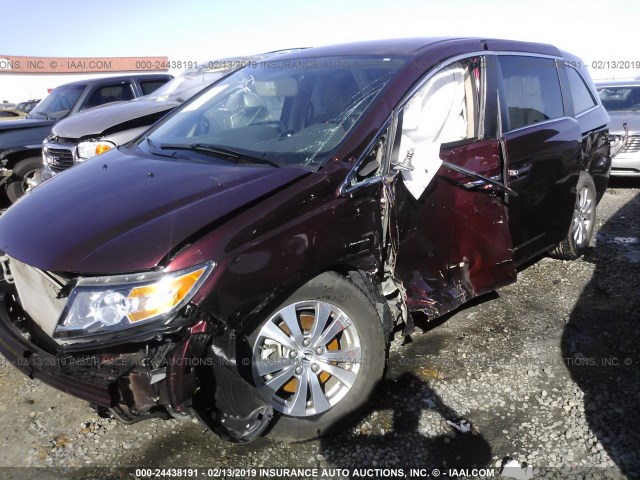 5FNRL5H38GB042440 - 2016 HONDA ODYSSEY SE BURGUNDY photo 5