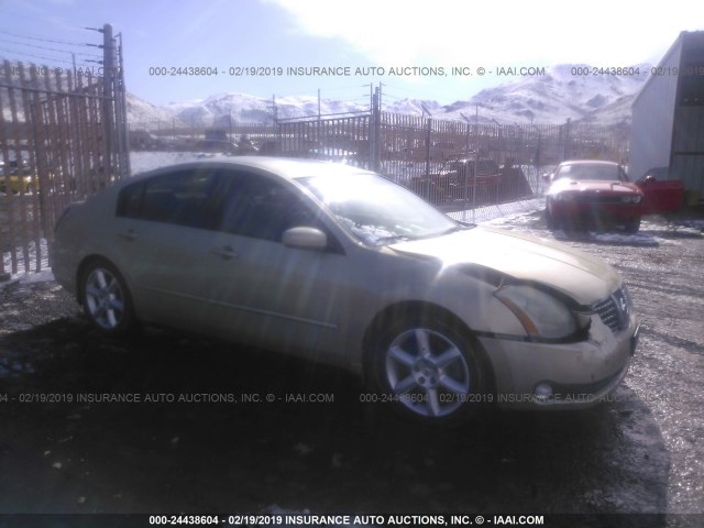 1N4BA41E24C841660 - 2004 NISSAN MAXIMA SE/SL GOLD photo 1