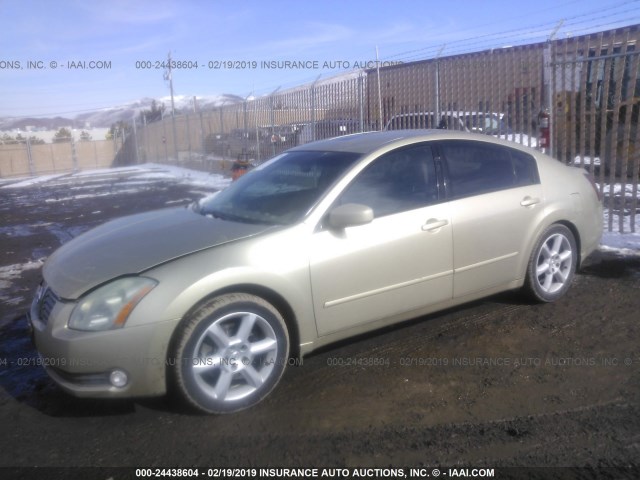 1N4BA41E24C841660 - 2004 NISSAN MAXIMA SE/SL GOLD photo 2